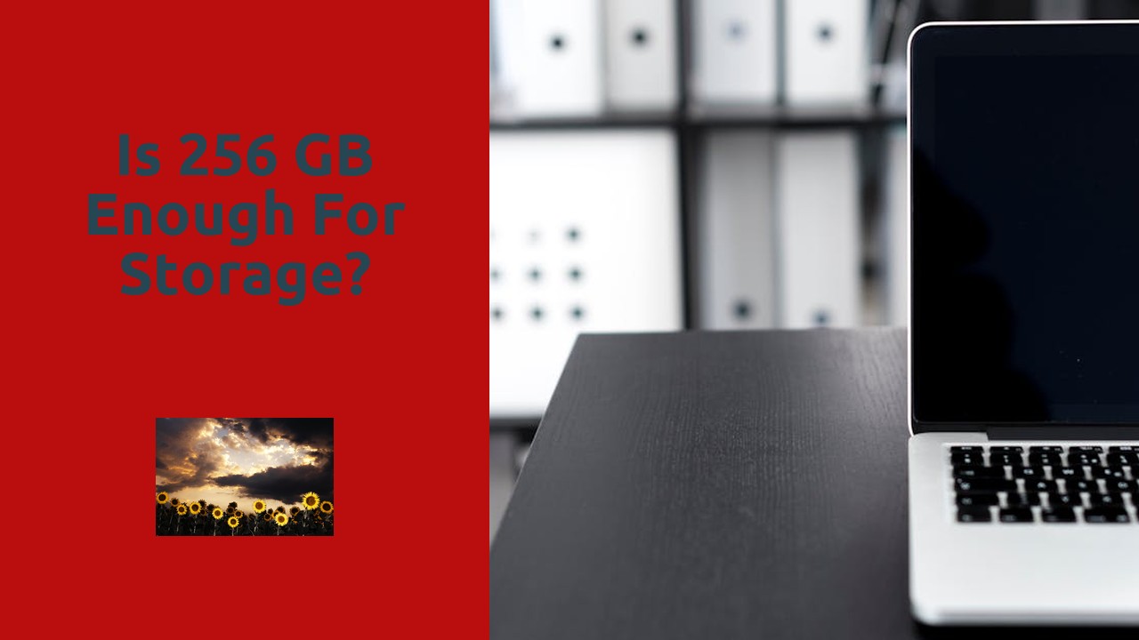 Is 256 GB enough for storage?