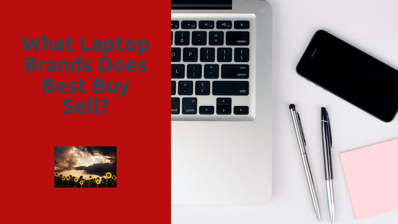 What laptop brands does Best Buy sell?